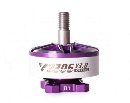 TMOTOR V2306 V3.0 FPV Motor