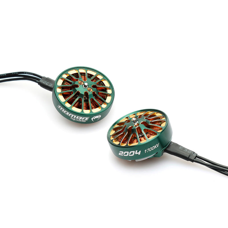 Mamba 2004 1700kv/2900kv motor