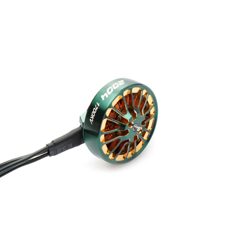 Mamba 2004 1700kv/2900kv motor