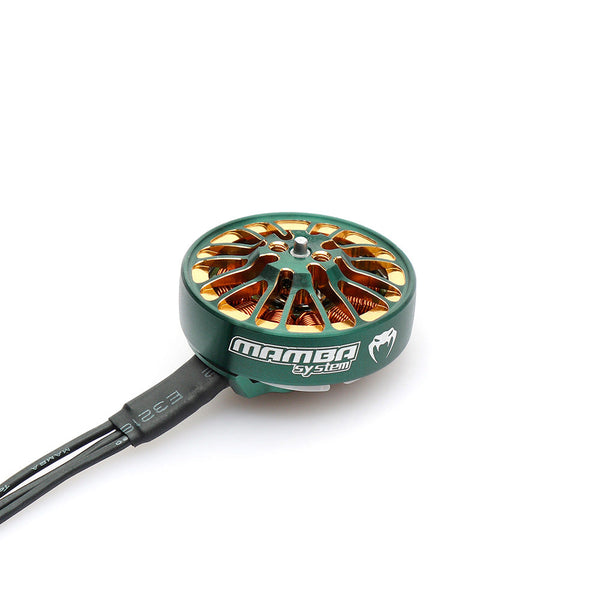 Mamba 2004 1700kv/2900kv motor