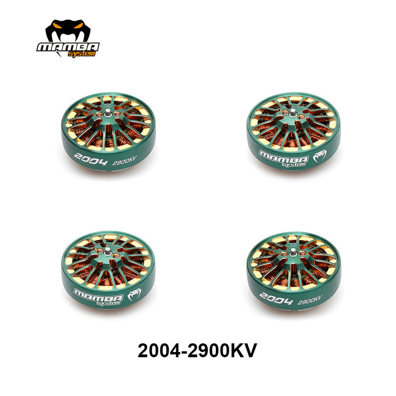 MAMBA TOKA 2004 1700KV/2900KV Racing Motor Green